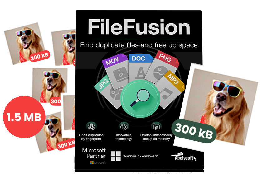 Finds duplicate files and saves up to 31% disk space